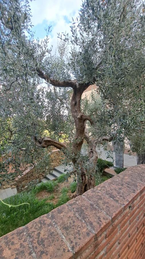 Casina Di Alice Daire Vinci Dış mekan fotoğraf